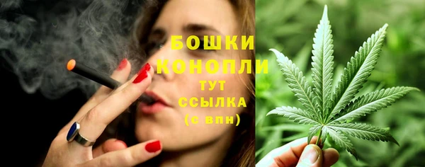 дживик Елизово