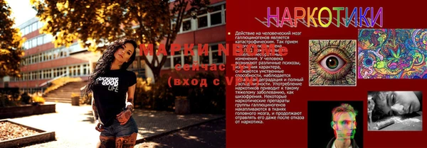 дживик Елизово