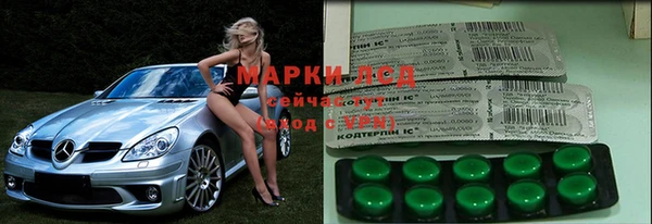 дживик Елизово