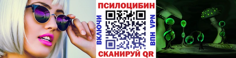 Псилоцибиновые грибы мицелий  Купить закладки  Шимановск 